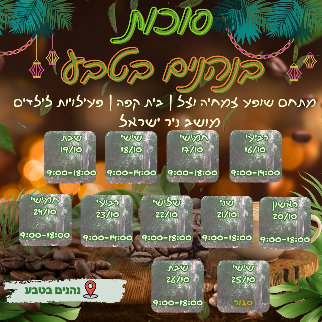 whatsapp image 2024-10-14 at 08.16.03.jpe